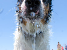 Photography • Portraiture • Wet Pixel