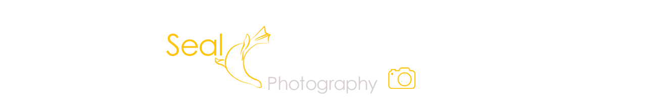 Photography by CeCe Mak